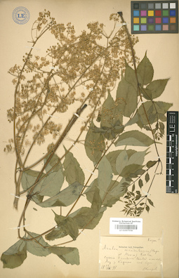 LE 01007558