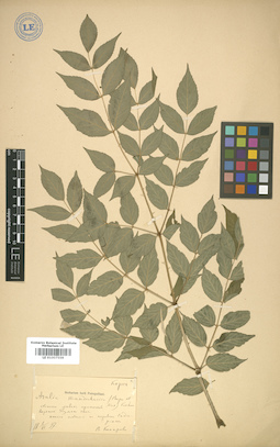 LE 01007559