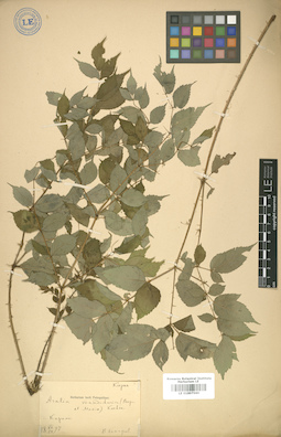 LE 01007560