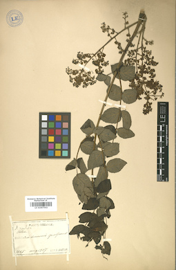 LE 01007562