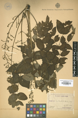 LE 01007563