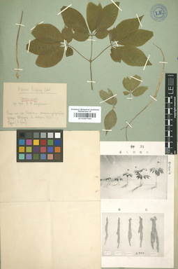 LE 01007564