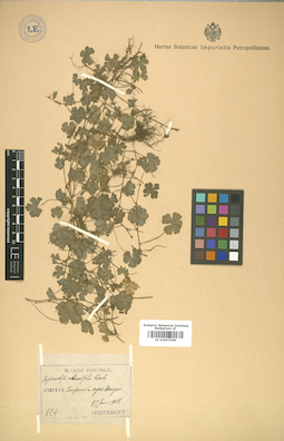 LE 01007566