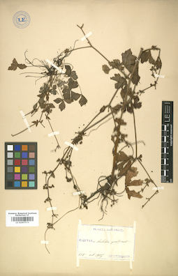 LE 01007574
