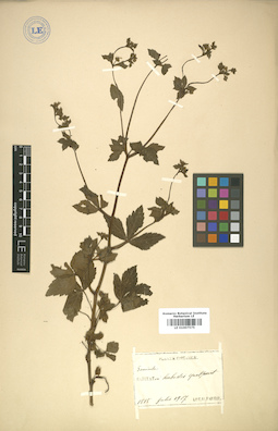 LE 01007575