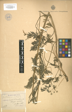 LE 01007578