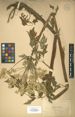 LE 01007608