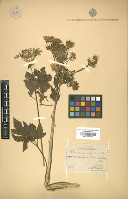 LE 01007609