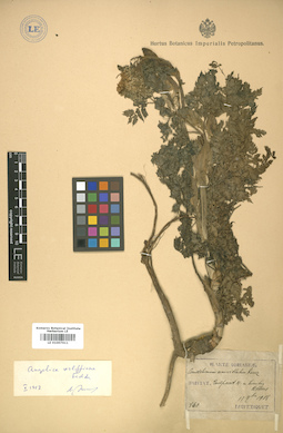 LE 01007611