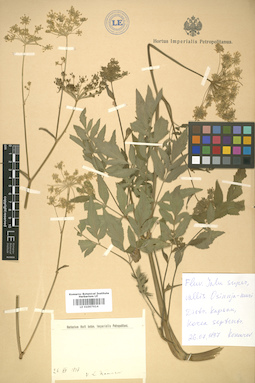 LE 01007614