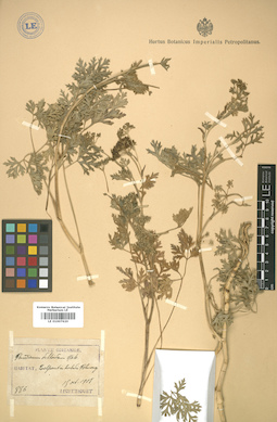 LE 01007620