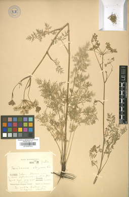 LE 01007622