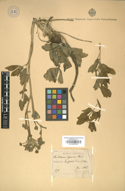 LE 01007623