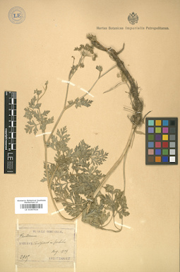 LE 01007624