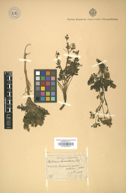 LE 01007625