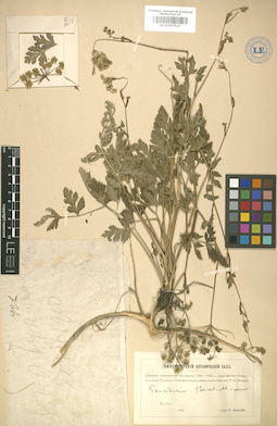 LE 01007627