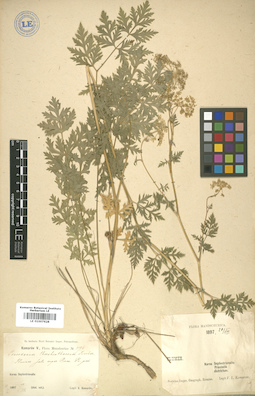 LE 01007628