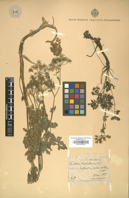 LE 01007633