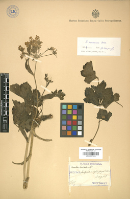 LE 01007634