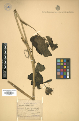 LE 01007635