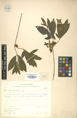 LE 01007639