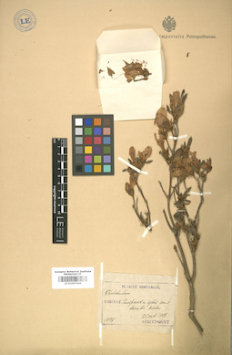 LE 01007646