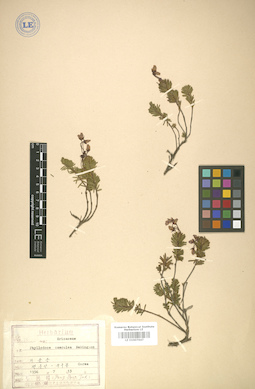 LE 01007647