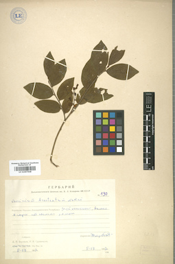 LE 01007648