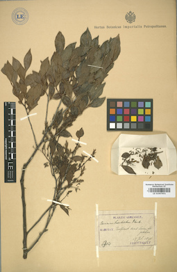 LE 01007651