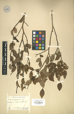 LE 01007652