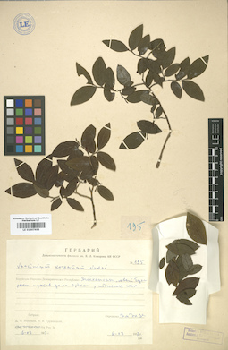 LE 01007655
