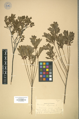 LE 01007656