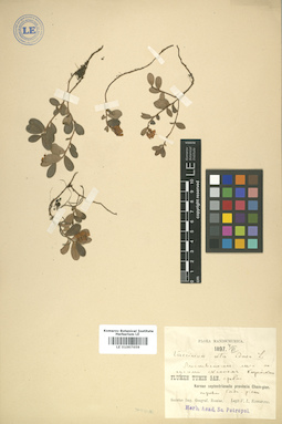 LE 01007659