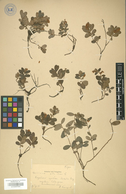 LE 01007660