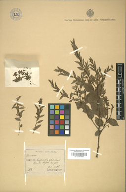 LE 01007665