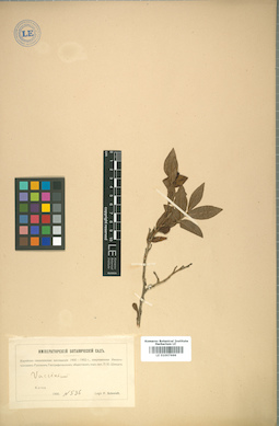 LE 01007666