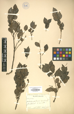 LE 01007667