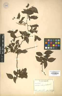 LE 01007669
