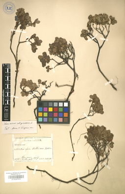 LE 01007670