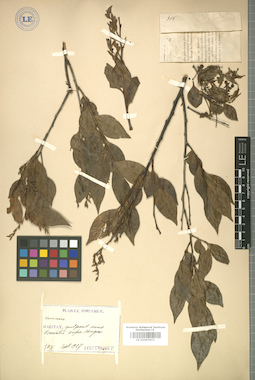 LE 01007672