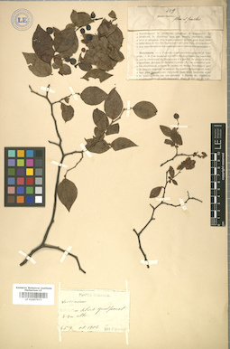 LE 01007673