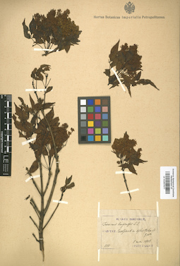 LE 01007677