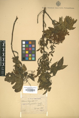 LE 01007678