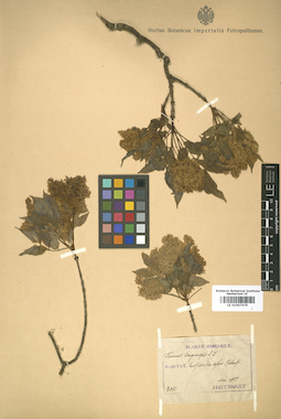 LE 01007679