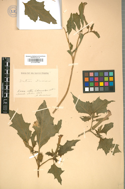 LE 01007680