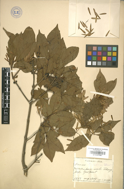 LE 01007683