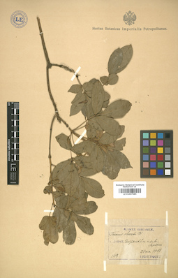 LE 01007685