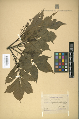 LE 01007687