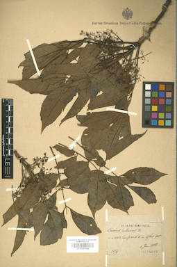 LE 01007689