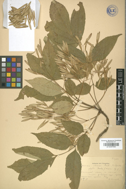 LE 01007690